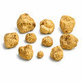 Piccoli tartufi bianchi freschi di Tuber magnatum, con superfici naturalmente irregolari di colore ocra pallido
