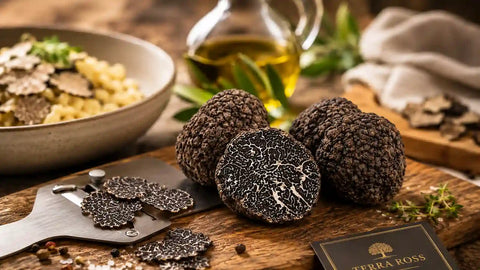 Guida al tartufo nero: Tuber melanosporum, stagione, aroma e usi