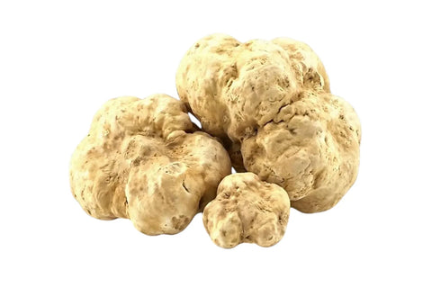 Interi tartufi bianchi Tuber magnatum che mostrano variazioni naturali di dimensione, forma e colore ocra pallido
