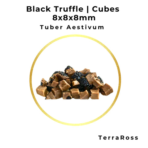 Cubetti di tartufo nero estivo da 8 × 8 × 8 mm in salamoia