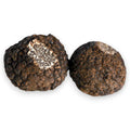 Tartufo nero pregiato fresco - Tuber indicum (Categoria B) Terra Ross