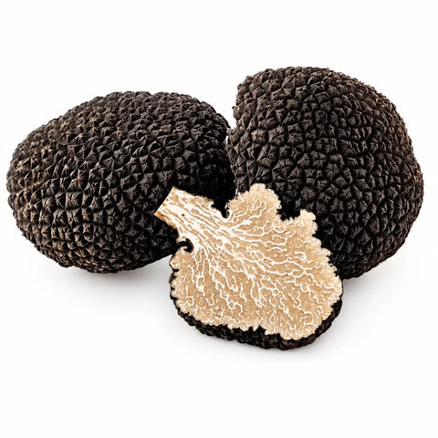 Whole and cut Fresh Black Summer Truffles showing the pale brown marbled interior of Tuber aestivum EXTRA Grade