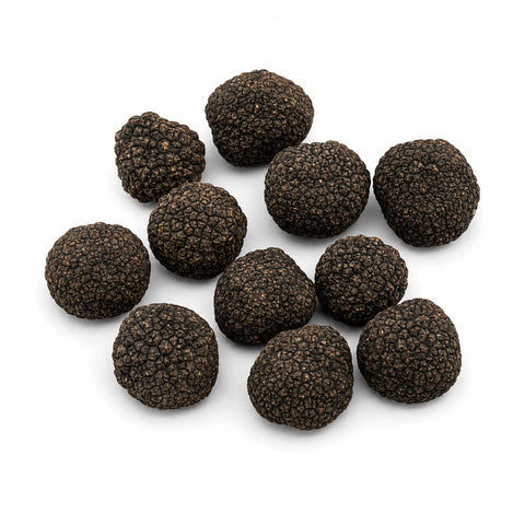 Tartufi freschi di Borgogna – Tuber uncinatum Grado B