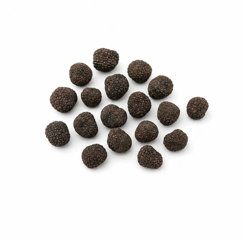 Tartufi freschi di Borgogna – Tuber uncinatum C Grade