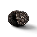 Tuber macrosporum fresco Tartufo nero liscio di grado B con interno marmorizzato