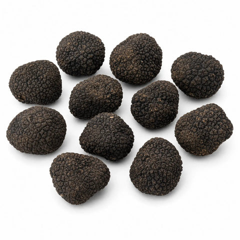 Piccoli tartufi freschi neri estivi – Tuber aestivum B Grade