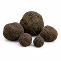Tartufi estivi freschi interi – Tuber aestivum Categoria EXTRA