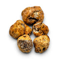Tuber borchii freschi interi, di grado A, selezionati in pezzature individuali di circa 8–20 g