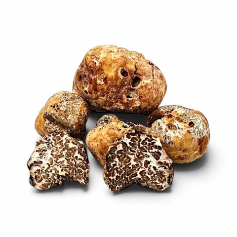 Cut fresh Tuber borchii B Grade truffles showing natural pale interior colour and fine marbling
