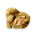 Grandi tartufi bianchi freschi Tuber magnatum che mostrano il colore esterno naturale e la marmorizzazione interna originale