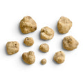 Piccoli tartufi bianchi freschi Tuber magnatum con superfici naturalmente irregolari di colore ocra chiaro