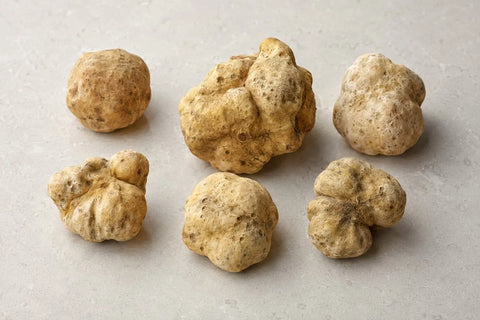 Interi tartufi bianchi freschi Tuber magnatum che mostrano variazioni naturali di dimensione, forma e colore esterno
