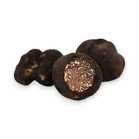 Fresh Winter Truffle Tuber Brumale with textured dark exterior and light interior