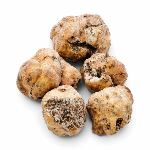 Tartufo bianchetto congelato, intero e tagliato – Tuber borchii su fondo bianco