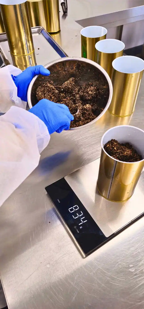 Preparazione professionale di prodotti al tartufo per ristoranti e forniture per la produzione alimentare