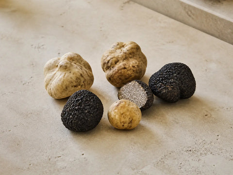 Tartufi bianchi e neri interi, con un tartufo nero tagliato che mostra il suo interno marmorizzato su una superficie di pietra chiara.